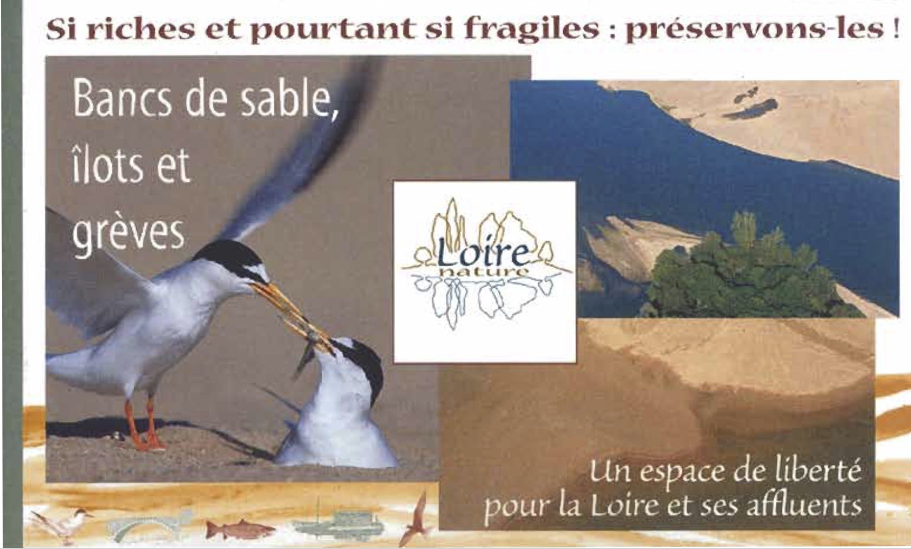Loire Nature : écosystème de la Loire et comment le préserver