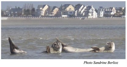 WE CK/mer Découverte de la Baie de Somme – février 2010