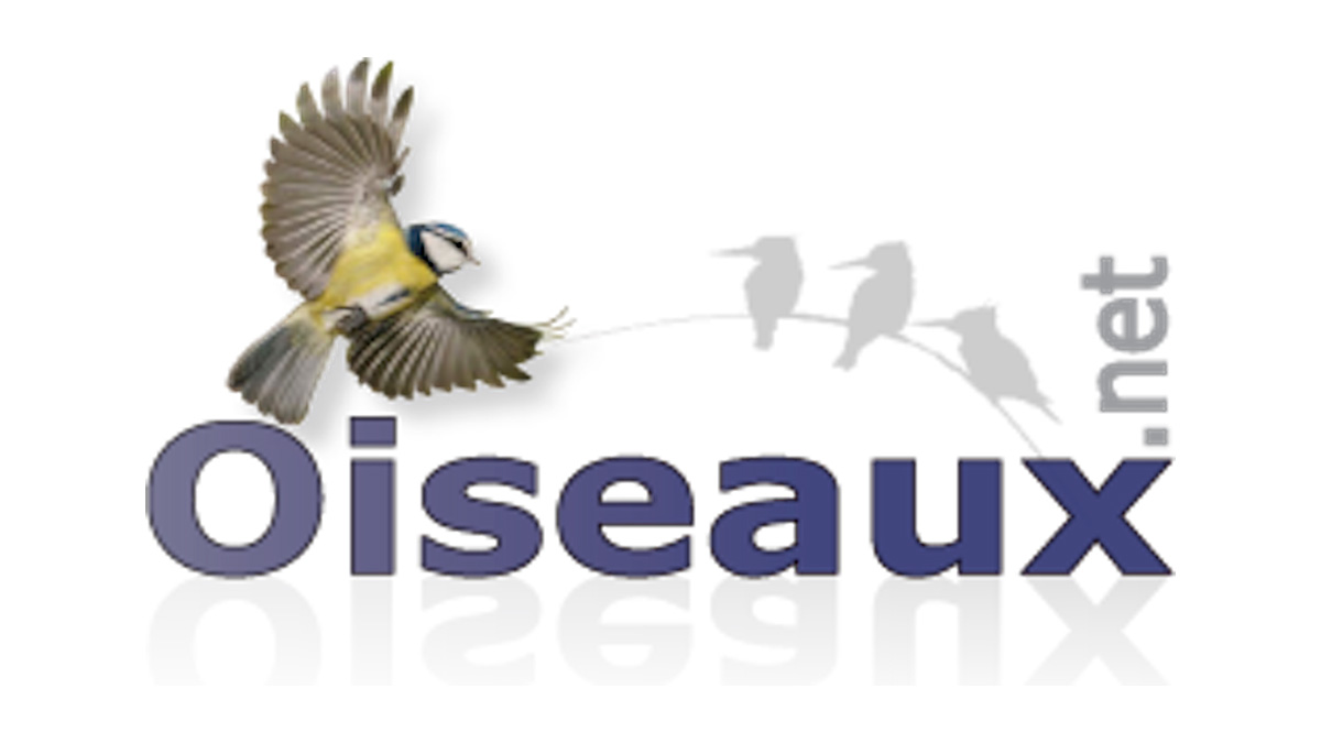 oiseaux.net