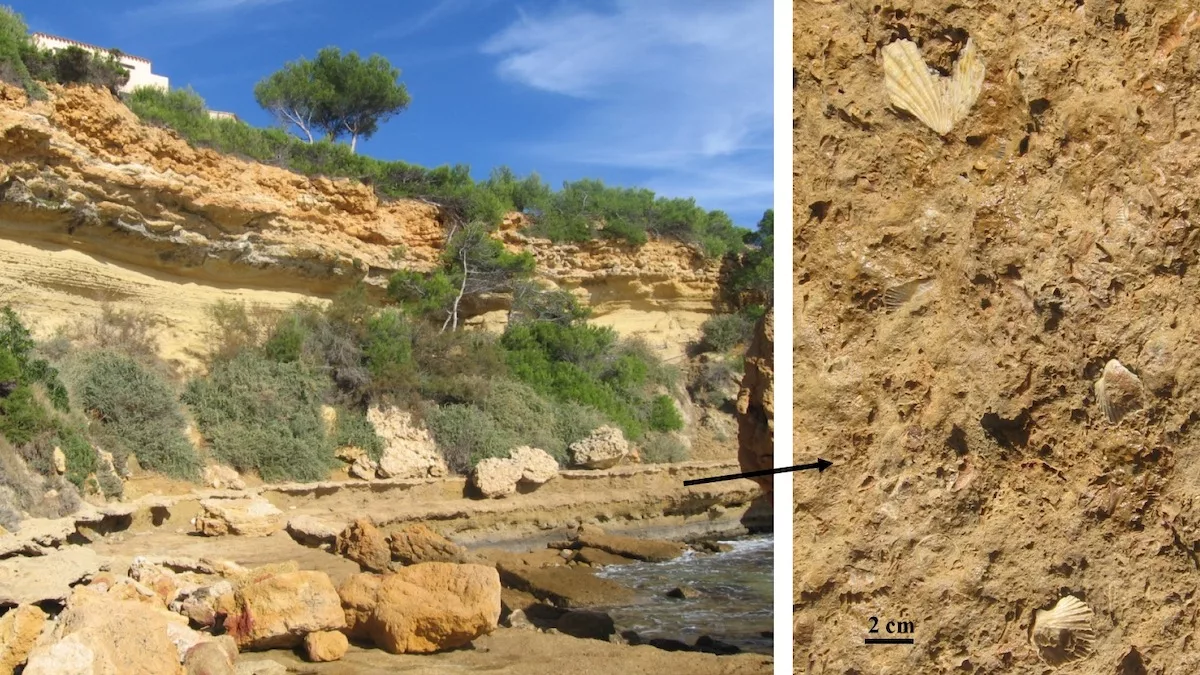 Environnement | un aperçu géologique des Calanques de Marseille
