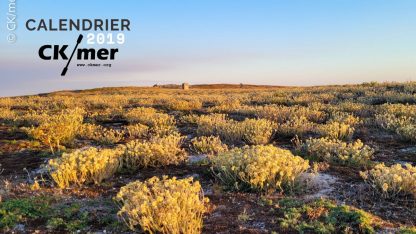 Calendrier d’activités 2019 et comptes-rendus