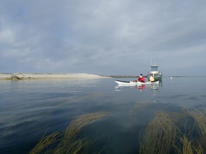 île de Quéménès - 2021