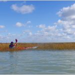 Week-end en Baie de Somme 2025