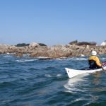 Week-end De l'estuaire de la Loire au Croisic (44)