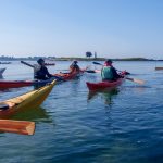 Week-end Découverte du Golfe du Morbihan