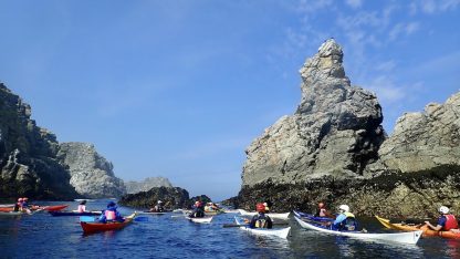 Kayak de mer dans le secteur