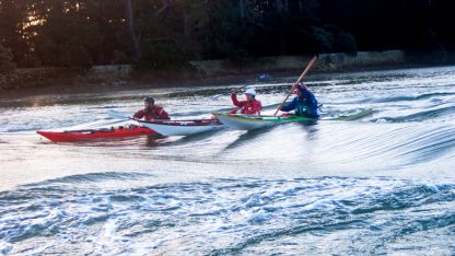 Courants du Golfe -Berder - 2024
