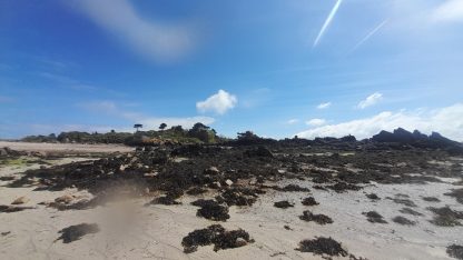 Symposium Kayak CK/mer 2024 - Photo de Nana L.