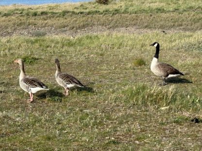 Symposium CK/mer 2024 - Photo Juan