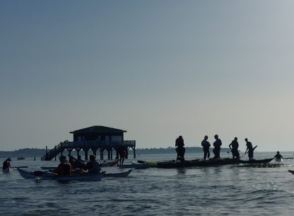 AG CK/mer 2024 - Bassin d'Arcachon - Tour de l'île aux oiseaux - Photo Frédéric Gilbert