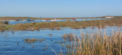 AG CK/mer 2024 - Bassin d'Arcachon - Tour de l'île aux oiseaux - Photo Frédéric Gilbert