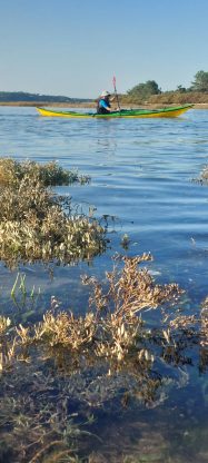 AG CK/mer 2024 - Bassin d'Arcachon - Tour de l'île aux oiseaux - Photo Frédéric Gilbert