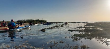 AG CK/mer 2024 - Bassin d'Arcachon - Tour de l'île aux oiseaux - Photo Frédéric Gilbert