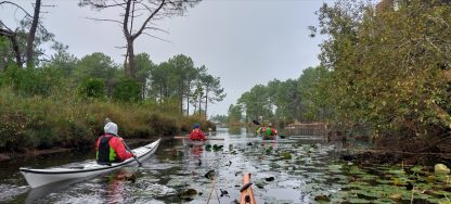 Lac de Lacanau - AG CKmer 2024