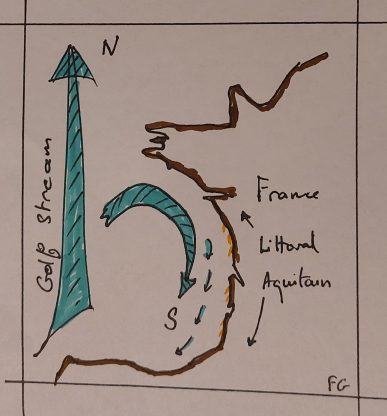 Géographie du Bassin d'Arcachon - Frédéric Gilbert - CK/mer - 2024