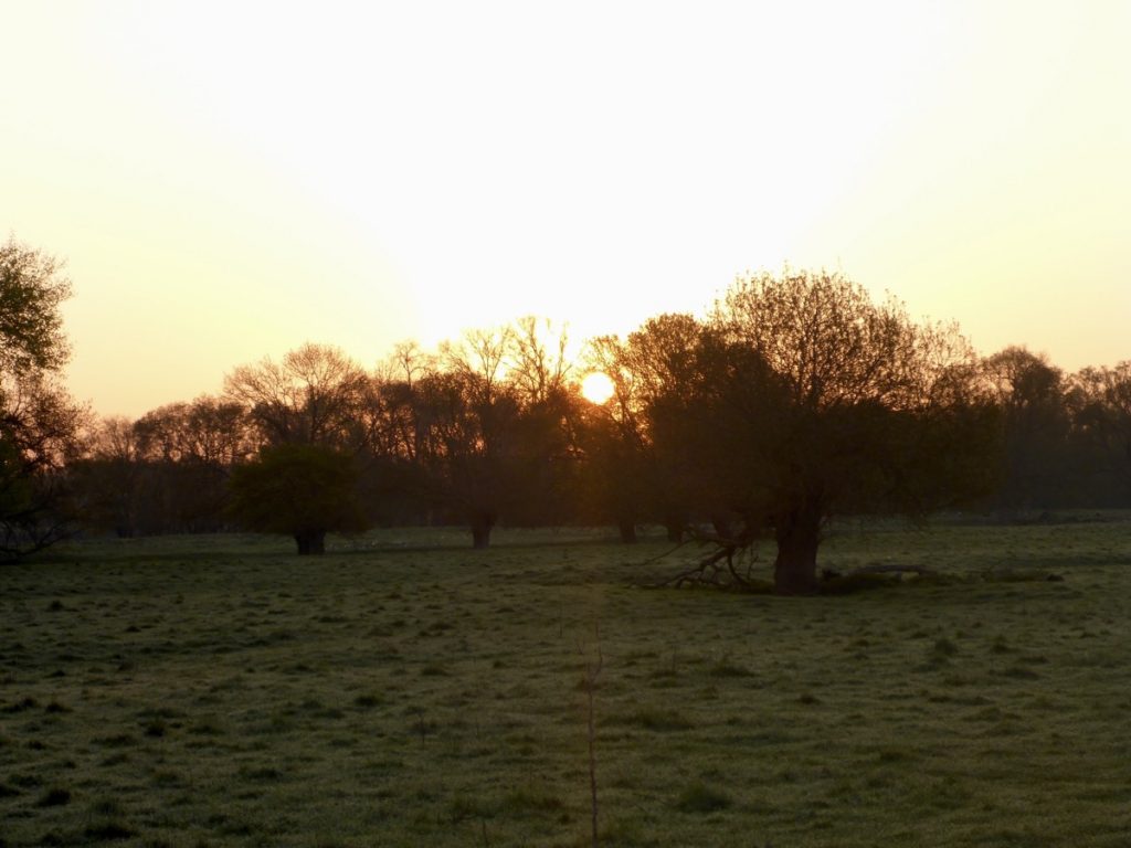 Descente de la Loire. Photo Stéphane LB. Avril 2025
