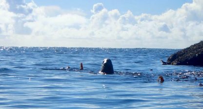 Week-end aux Odet & Étocs – 20-21 Septembre 2025