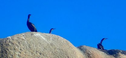 Sortie kayak aux Etocs