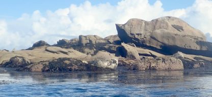 Sortie kayak aux Etocs