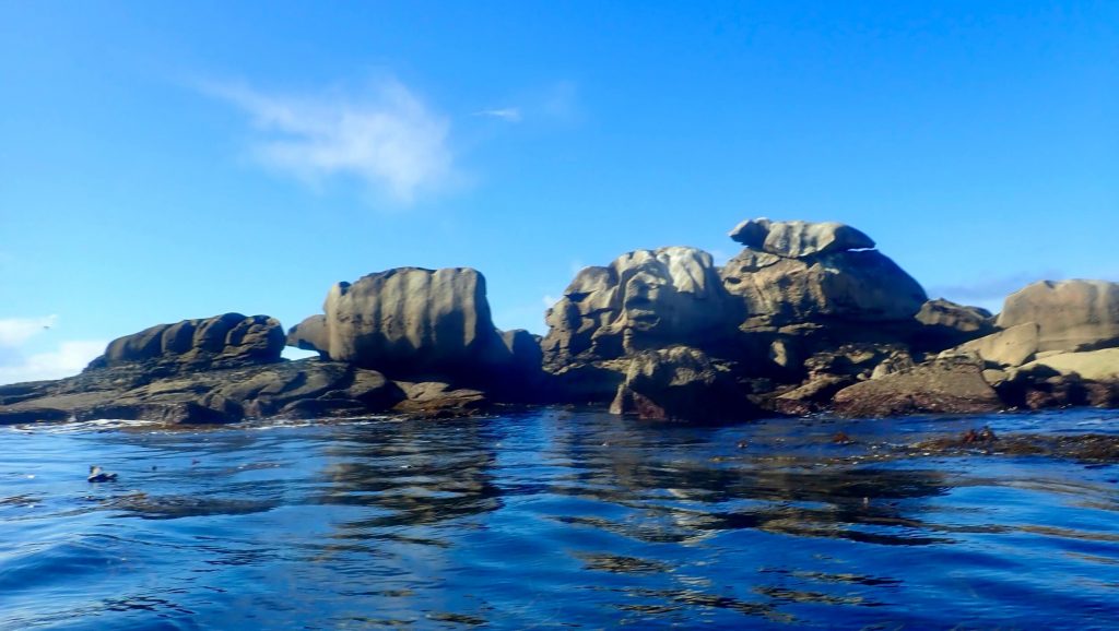 Découverte des Etocs en kayak de mer - Finistère Sud Sortie kayak aux Etocs
