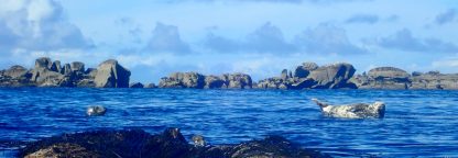 Sortie kayak aux Etocs