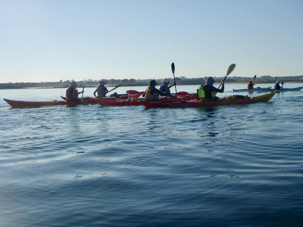 Sortie kayak - Aber Benoit, Ile Vierge, Finistère Nord