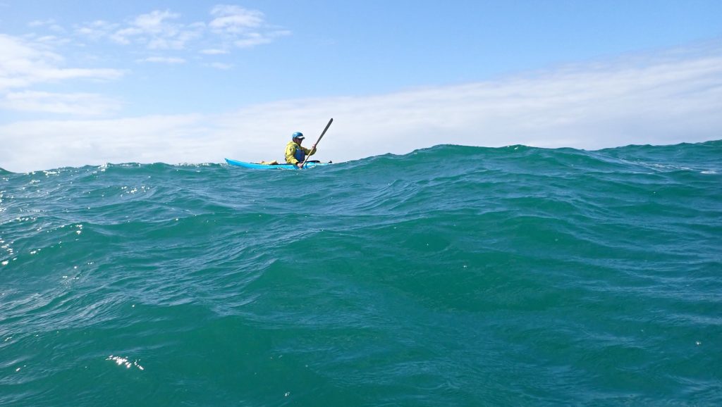 Tournée des cardinales, autour de Sainte Marguerite en kayak