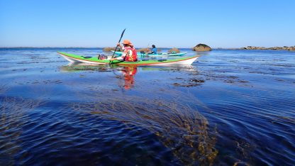 Rencontres Internationales de Landéda 2025 - aber Wrac'h