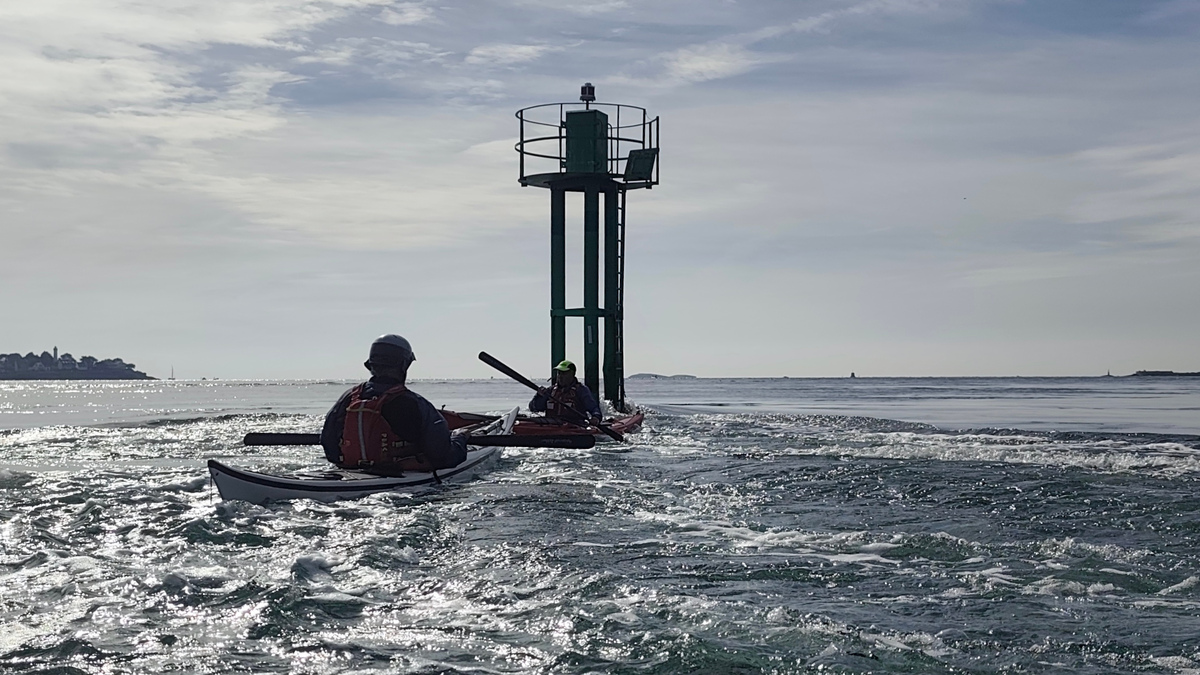 Week-end Courants du Golfe - Octobre 2025